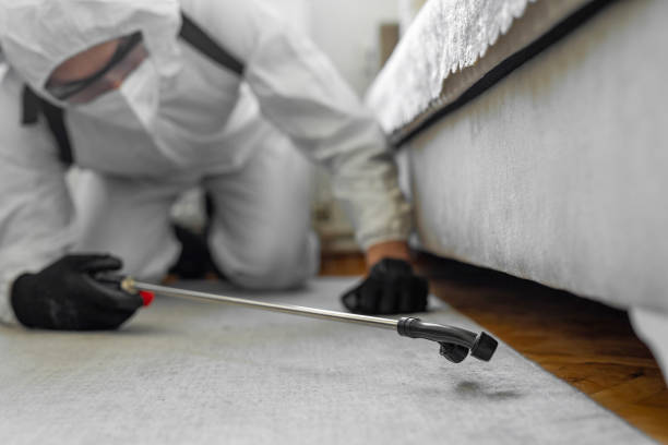 Professional Pest Control technician working in Rossville, MD