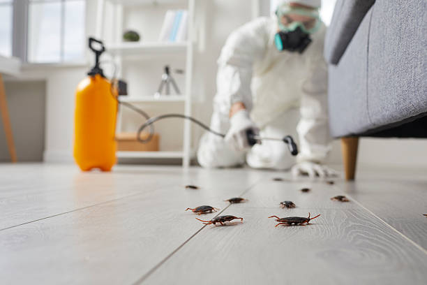 Trusted Cockroach Control service in Rossville, MD - Nex Pest Control